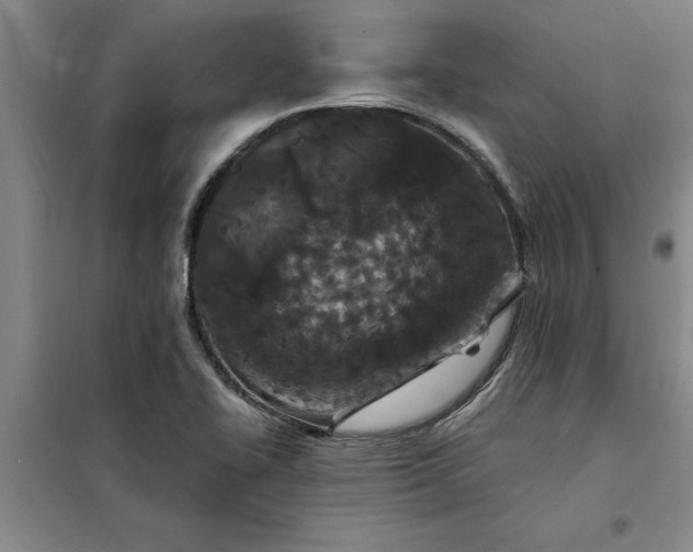 X0000098151414200805011357