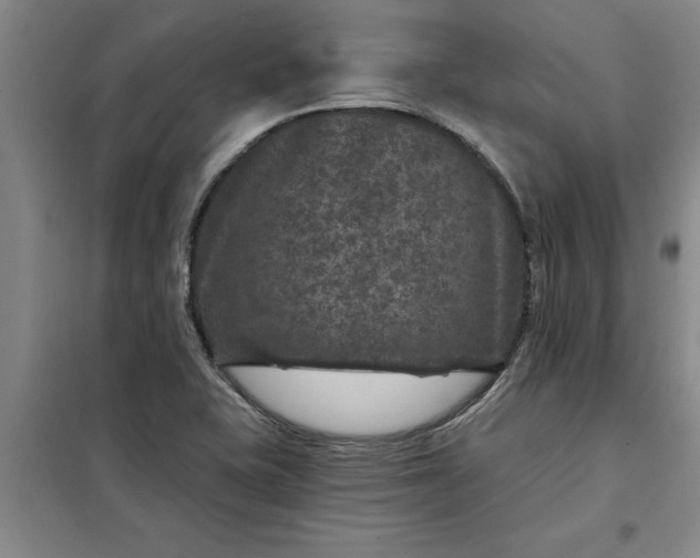 X0000098151415200805011357