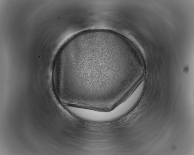 X0000098151416200805011357