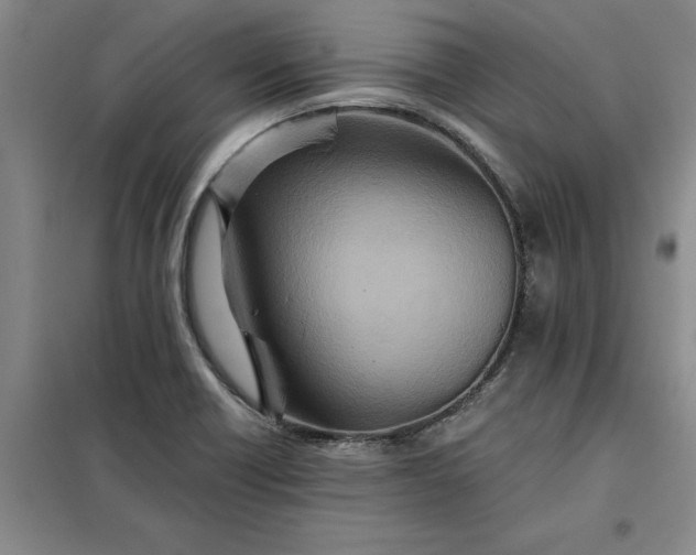 X0000098151418200805011357