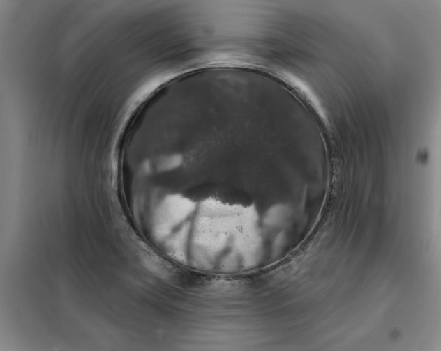 X0000098151419200805011357