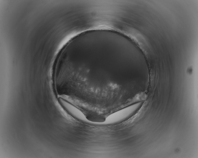 X0000098151422200805011357