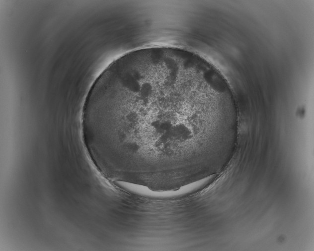 X0000098151423200805011357