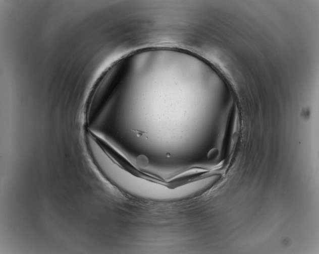 X0000098151424200805011357