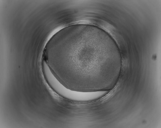 X0000098151426200805011357