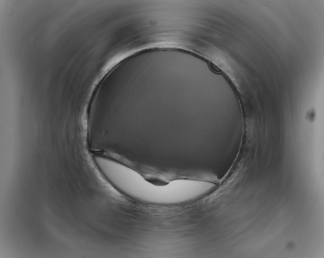 X0000098151428200805011357