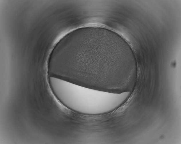 X0000098151430200805011357