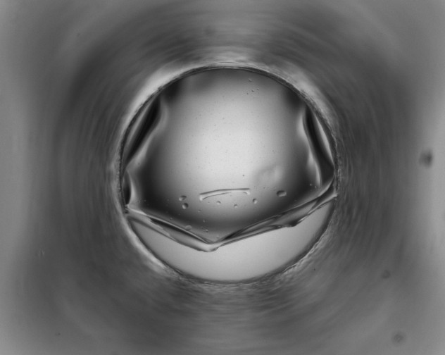 X0000098151432200805011357