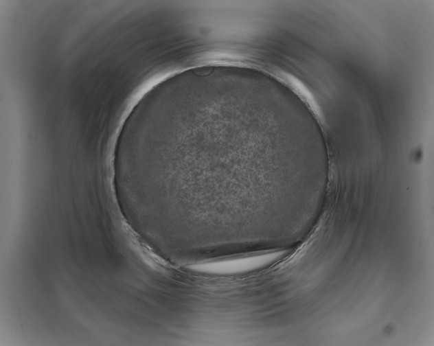 X0000098151435200805011357