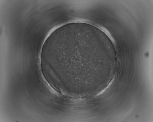 X0000098151436200805011357