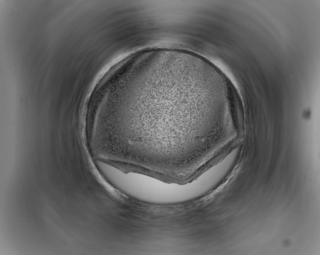 X0000098151437200805011357