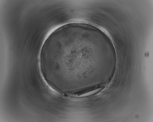 X0000098151440200805011357