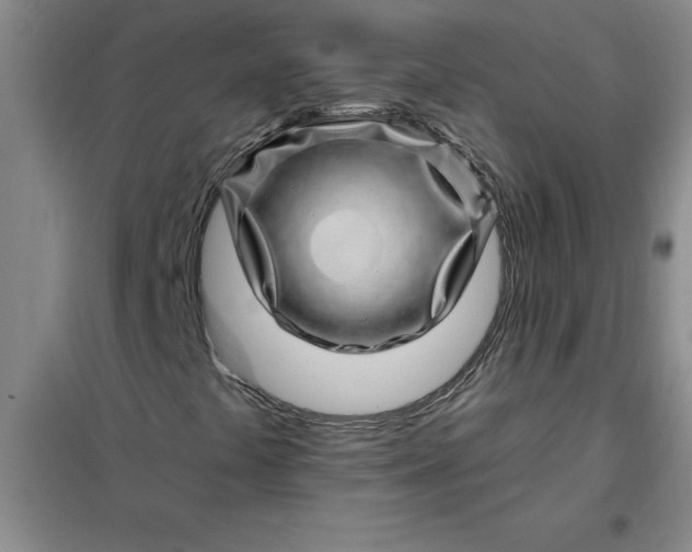 X0000098151441200805011356