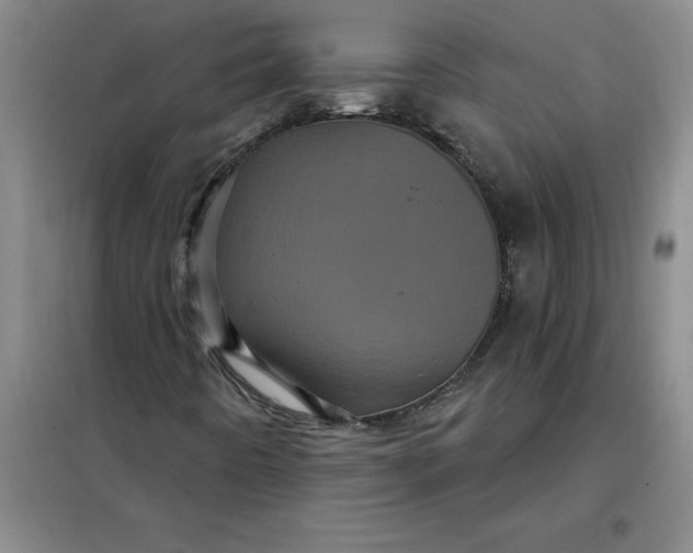 X0000098151442200805011356