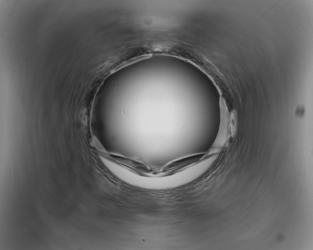 X0000098151443200805011356