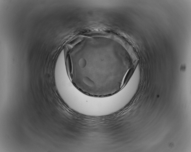 X0000098151444200805011356