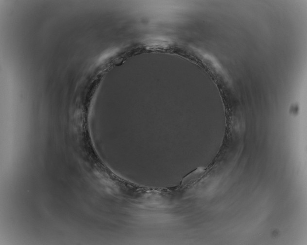 X0000098151445200805011356