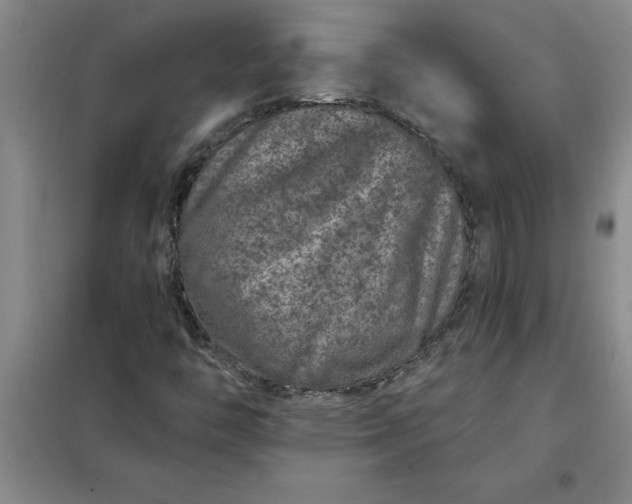X0000098151446200805011356