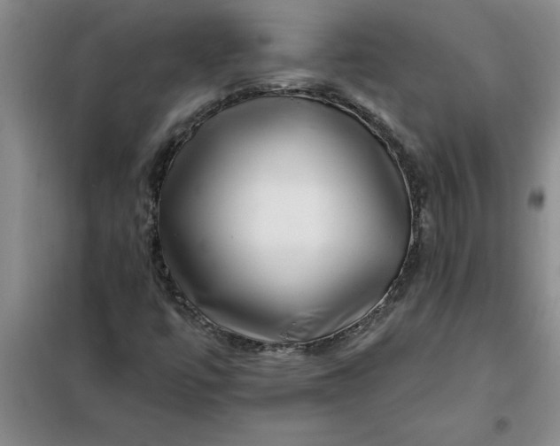 X0000098151447200805011356