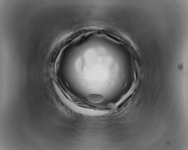 X0000098151448200805011356