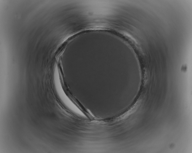 X0000098151449200805011356