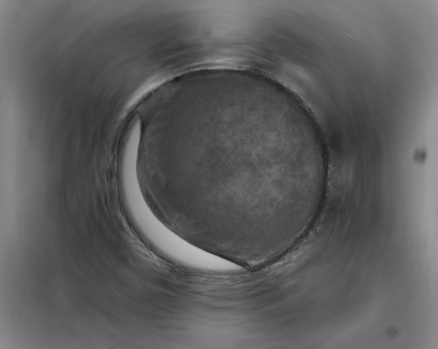 X0000098151450200805011356