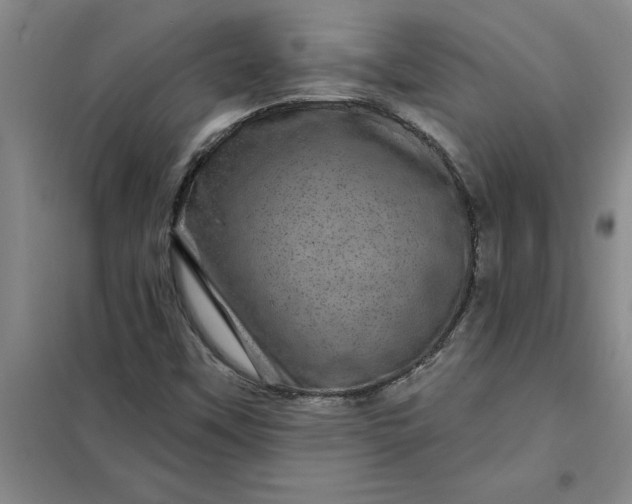 X0000098151451200805011356