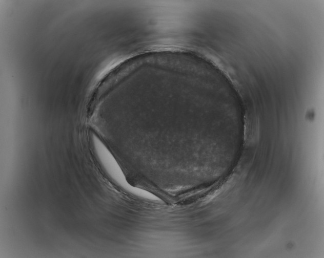 X0000098151453200805011356