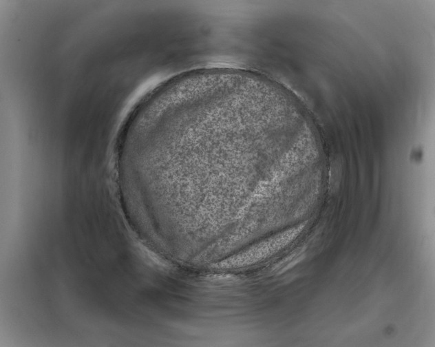 X0000098151454200805011356