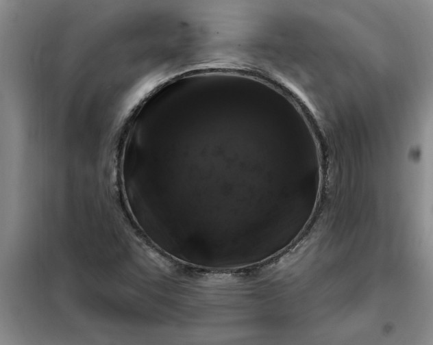 X0000098151455200805011356