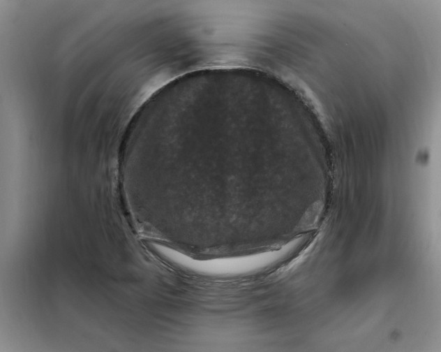 X0000098151457200805011356