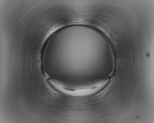 X0000098151458200805011356