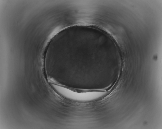 X0000098151459200805011356