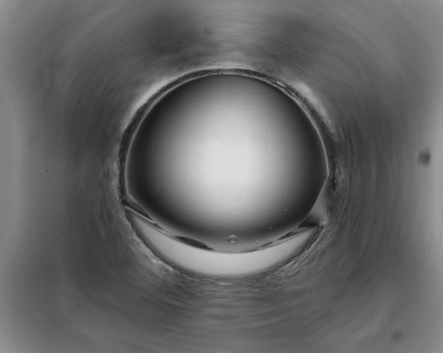 X0000098151460200805011356