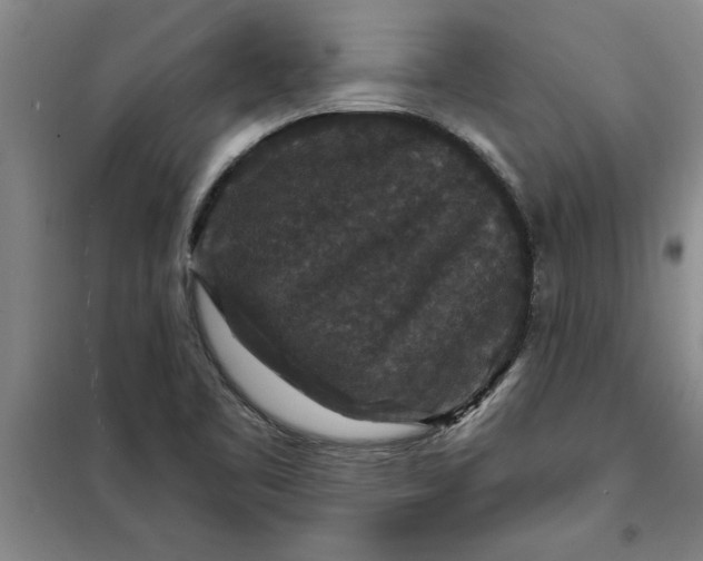 X0000098151461200805011356