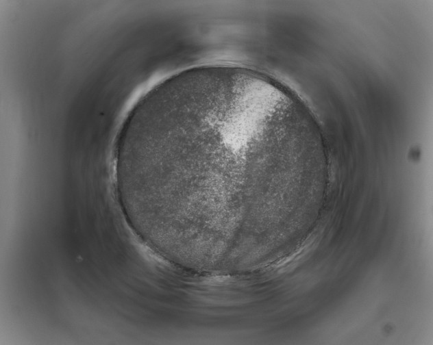 X0000098151462200805011356