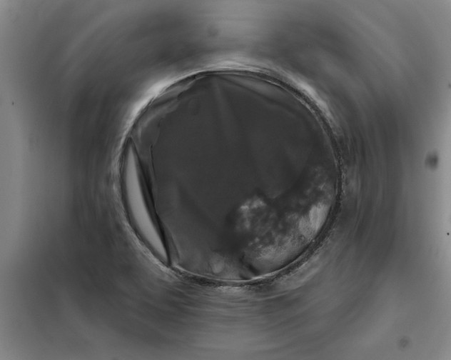 X0000098151463200805011356