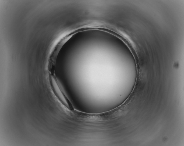X0000098151464200805011356