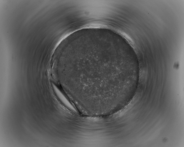 X0000098151465200805011356