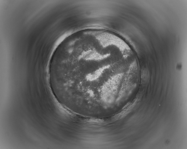 X0000098151466200805011356