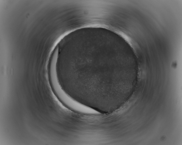 X0000098151468200805011356
