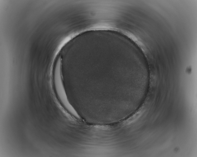 X0000098151469200805011356