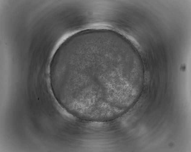 X0000098151470200805011356