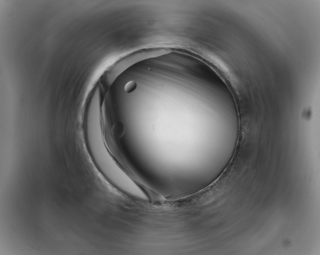 X0000098151472200805011356