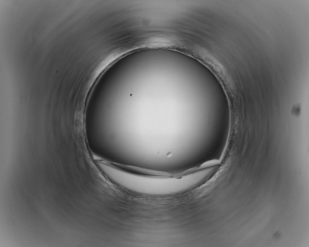 X0000098151473200805011356