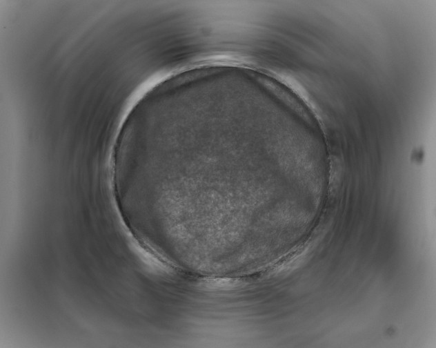 X0000098151474200805011356