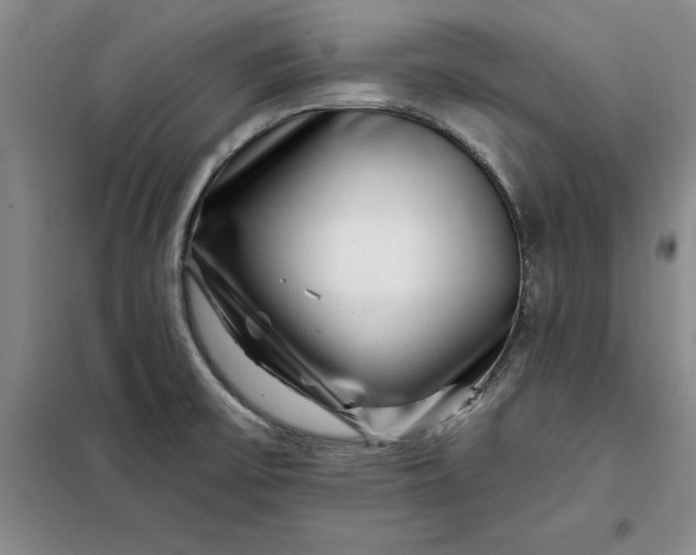 X0000098151475200805011356