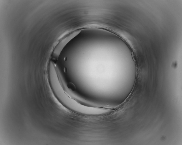 X0000098151476200805011356