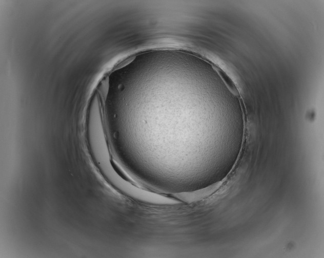 X0000098151477200805011356