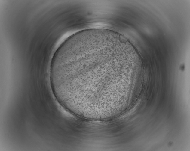 X0000098151478200805011356